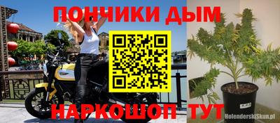 индика Наро-Фоминск