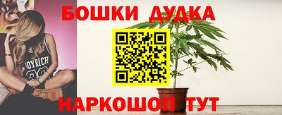 индика Наро-Фоминск
